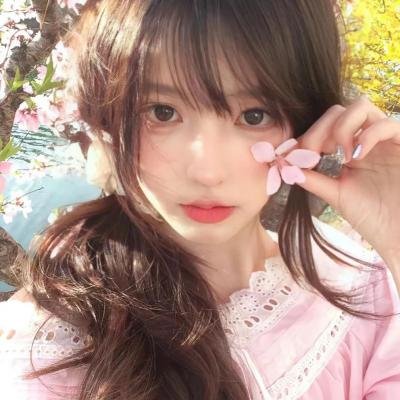 键盘猫